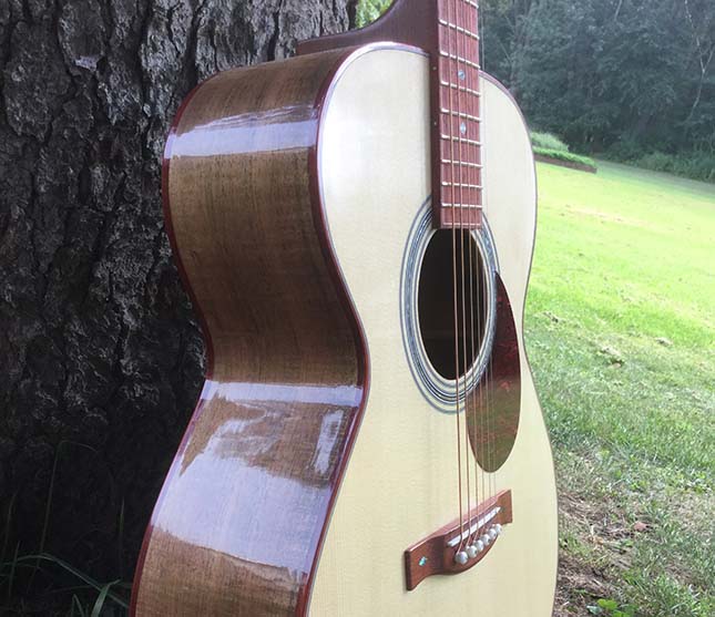 Shaffer Guitars 031 Tasmanian Blackwood back and sides