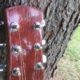 Shaffer Guitar 031 African Mahogany head block