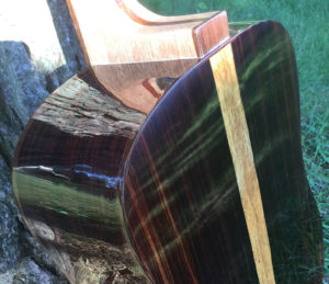 Shaffer Guitar 035 Mexican Cocobolo back and sides